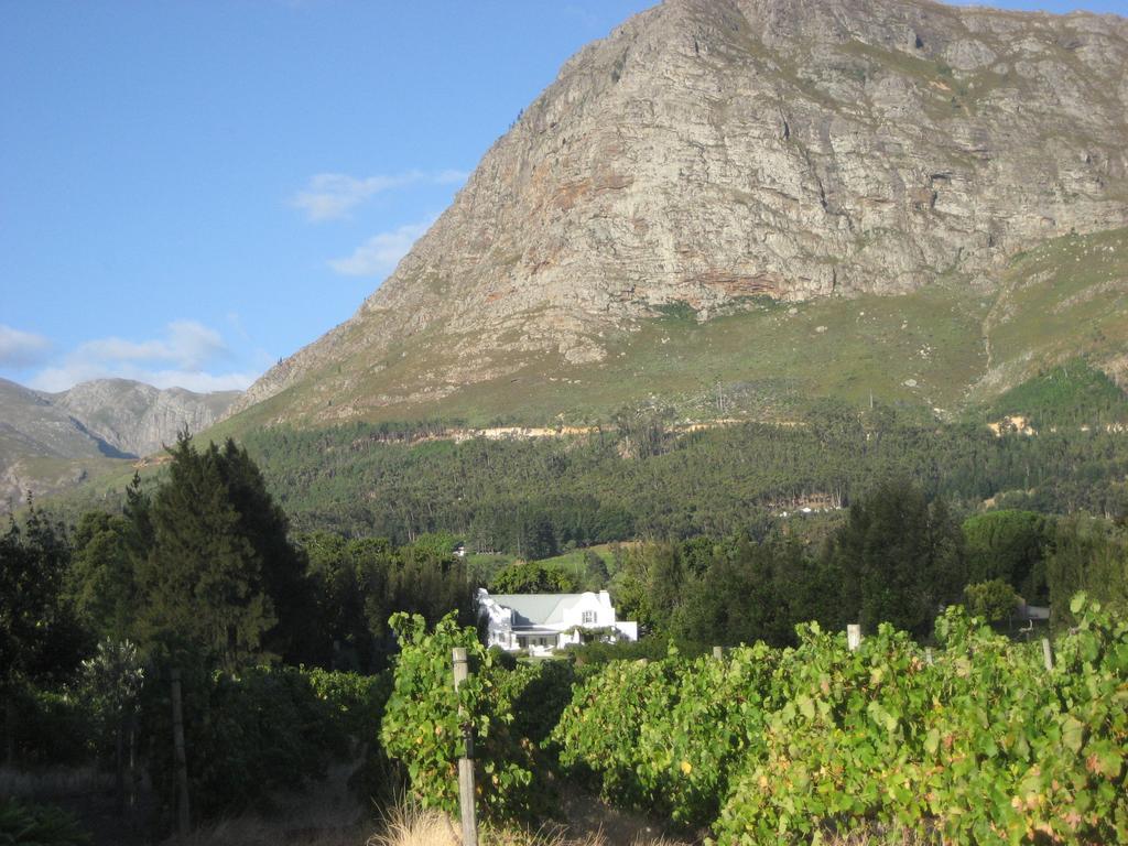 Franschhoek Rose Cabañas Exterior foto