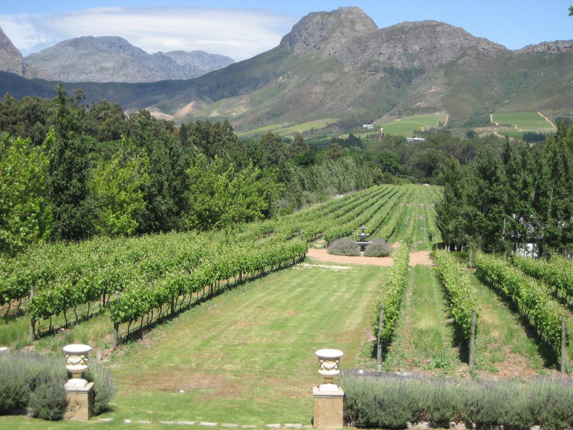 Franschhoek Rose Cabañas Exterior foto