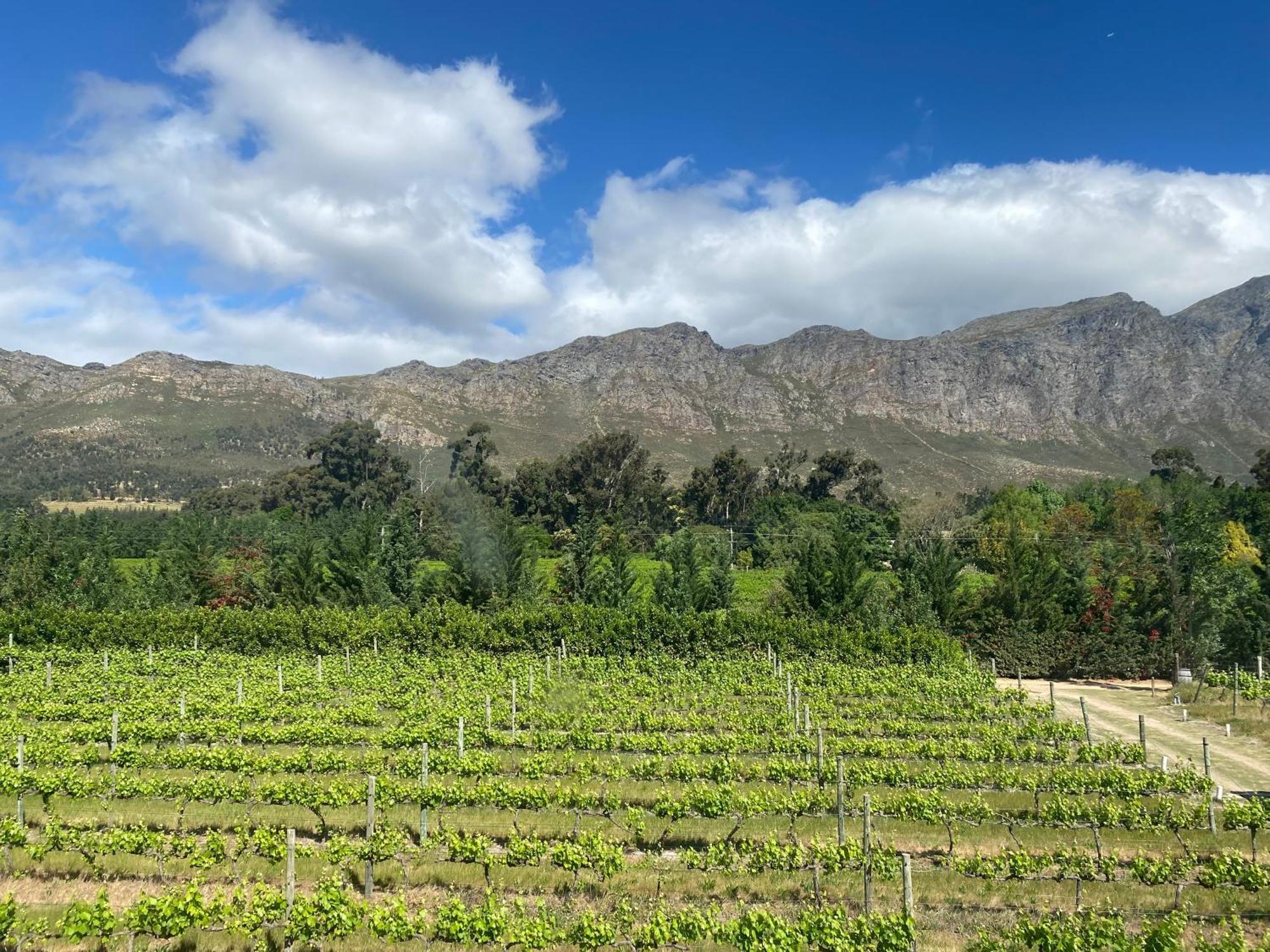 Franschhoek Rose Cabañas Exterior foto