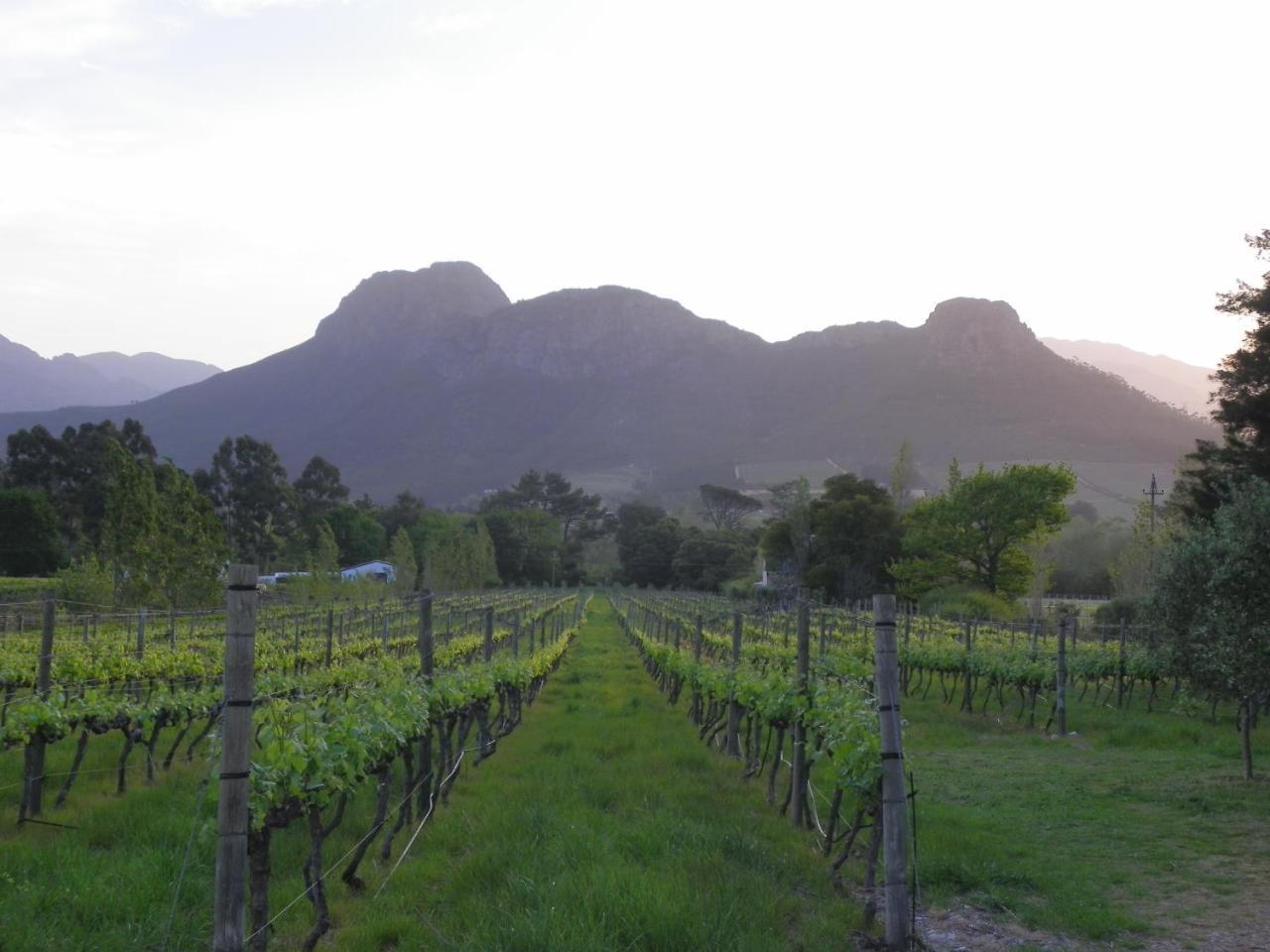 Franschhoek Rose Cabañas Exterior foto